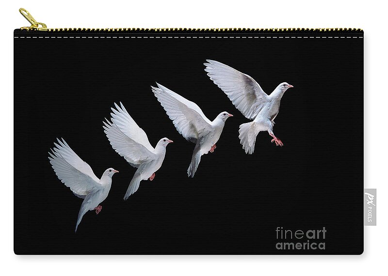 Columba Livia Carry-all Pouch featuring the photograph White dove in flight multiple exposure 4 on black by Warren Photographic