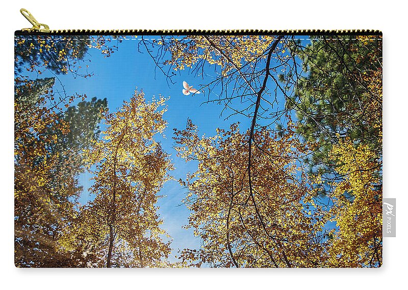 Landscape Carry-all Pouch featuring the photograph White Dove over Big Pines by Romeo Victor