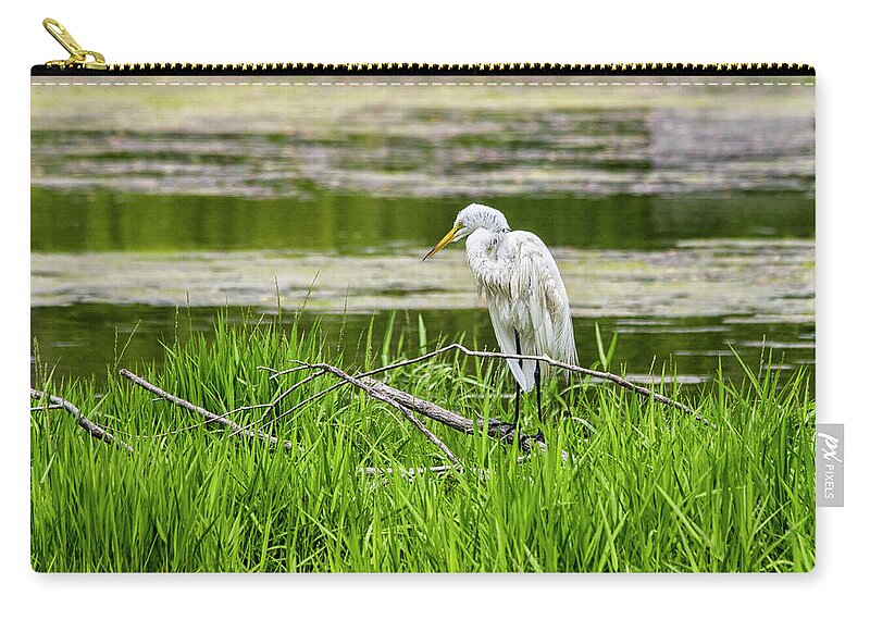Great White Egret Zip Pouch featuring the photograph White Egret on the Willow by Bob Decker