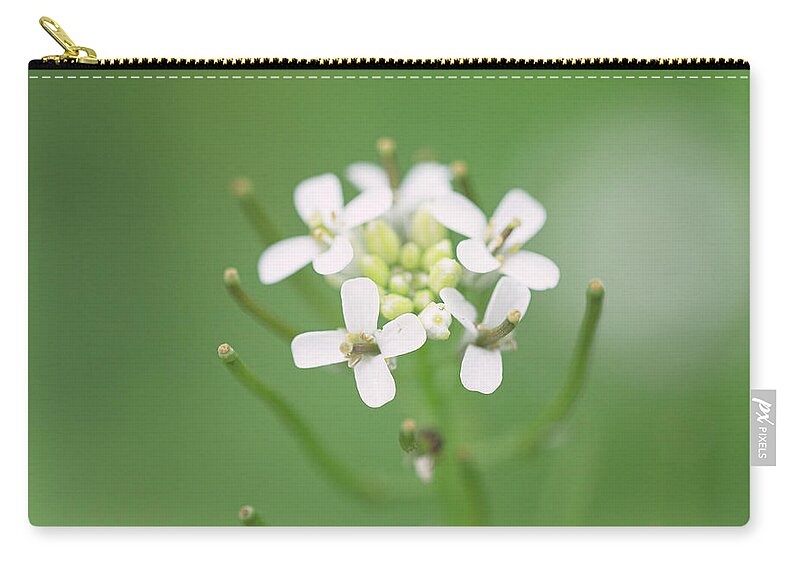 Flower Zip Pouch featuring the photograph White Flower by Amelia Pearn
