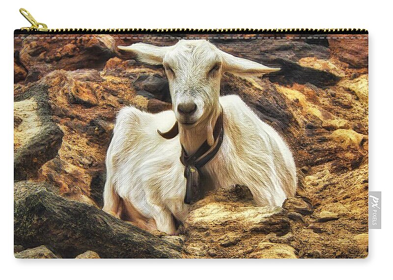 Farmland Zip Pouch featuring the photograph White Goat Resting by Marco Sales