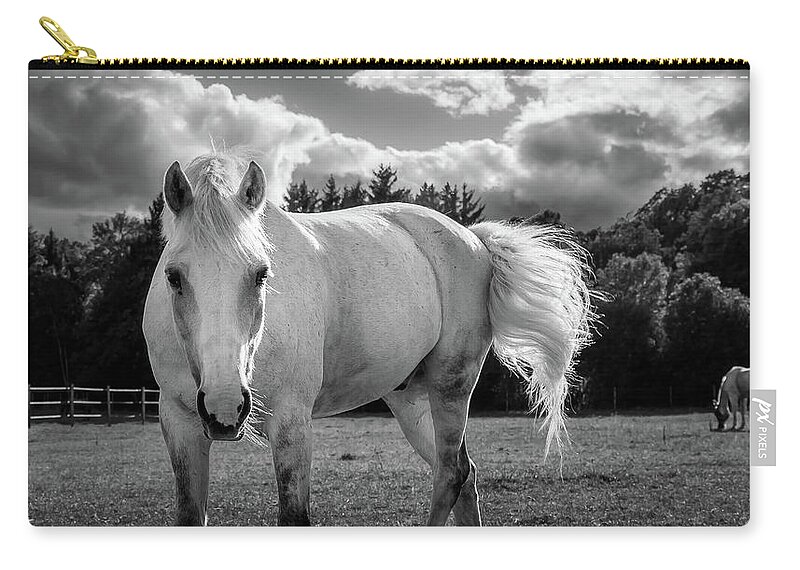 Horse Zip Pouch featuring the photograph White Horse Tail Swish by Nicklas Gustafsson