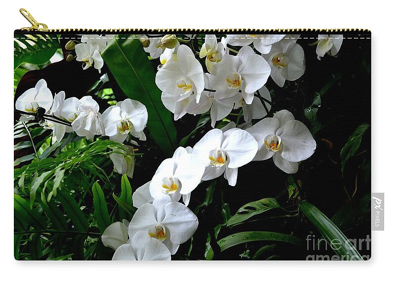 White Phalaenopsis Orchid Photograph Carry-all Pouch featuring the photograph White Orchid Parade of Blooms by Expressions By Stephanie
