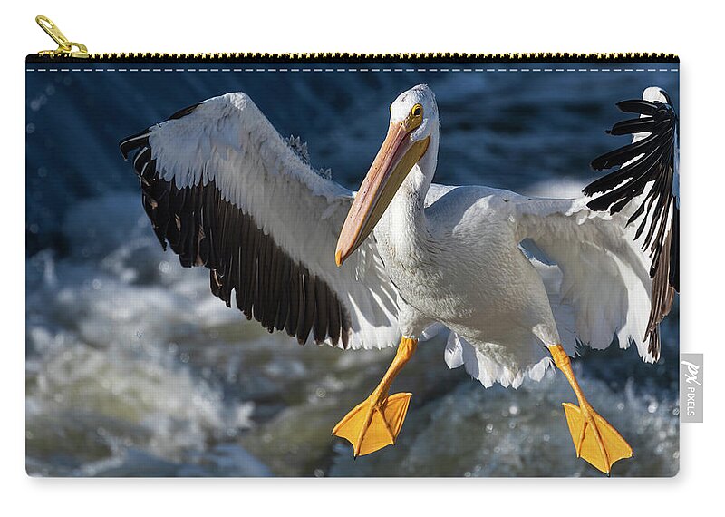 American White Pelican Zip Pouch featuring the photograph White Pelican Coming In For A Landing 2020-1 by Thomas Young