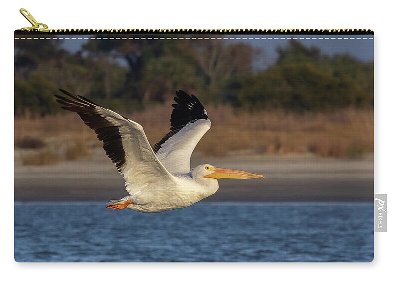 American White Pelican Zip Pouch featuring the photograph White Pelican in Flight by Patricia Schaefer
