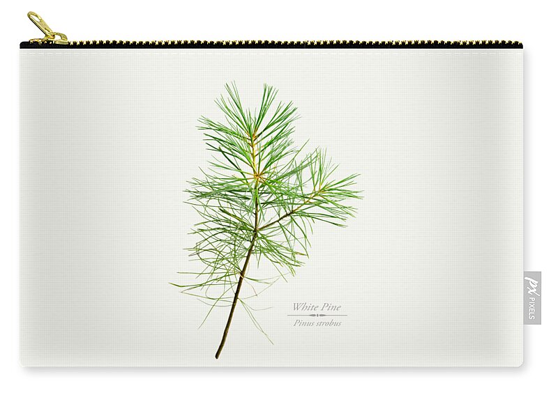 White Pine Zip Pouch featuring the mixed media White Pine by Christina Rollo