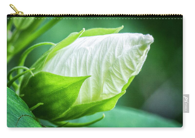 White Hibiscus Bud Zip Pouch featuring the photograph White Hibiscus Bud in the Croatan National Forest by Bob Decker