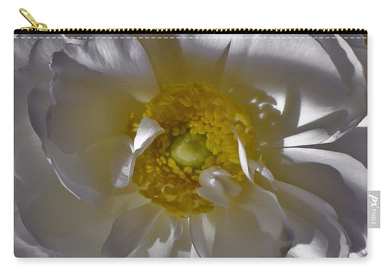 - White Ranunculus 3 Zip Pouch featuring the photograph - White Ranunculus 3 by THERESA Nye