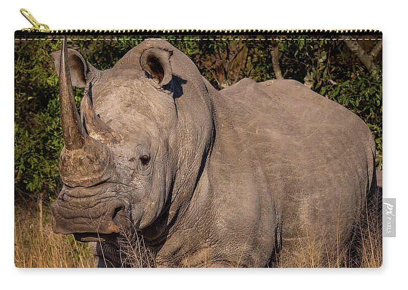 Rhinoceros Zip Pouch featuring the photograph White Rhino by Elvira Peretsman