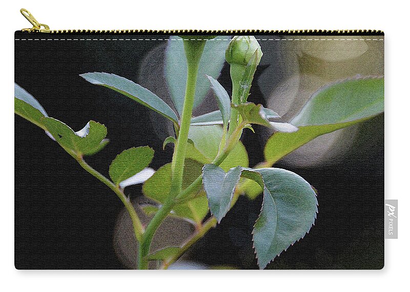 Rose Zip Pouch featuring the photograph White Rose and Butterflies by Lena Wilhite