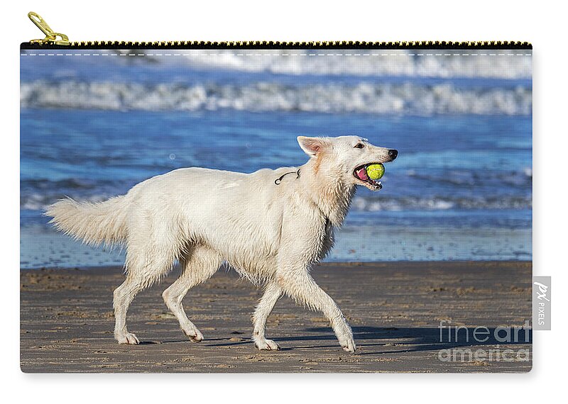 Berger Blanc Suisse Zip Pouch featuring the photograph White Swiss Shepherd by Arterra Picture Library