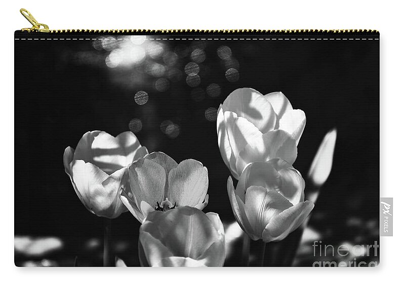 Tulip Zip Pouch featuring the photograph White tulips by PatriZio M Busnel