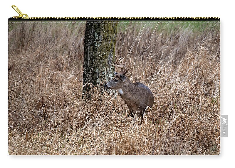 Whitetail Deer Zip Pouch featuring the photograph Whitetail buck in the grass by Dan Friend