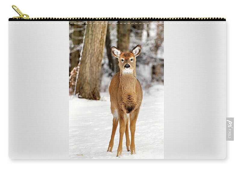 Deer Zip Pouch featuring the photograph Whitetail in Snow by Christina Rollo