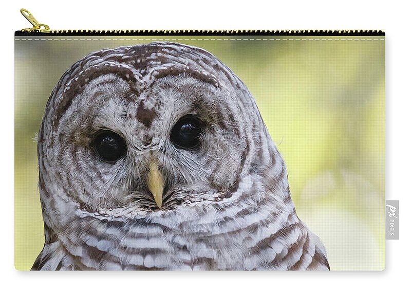 Nature Zip Pouch featuring the photograph Who Me? - Barred Owl by Belen Bilgic Schneider