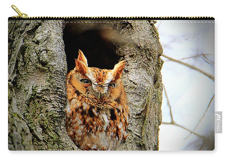 Eastern Screech Owl Red Morph Zip Pouch featuring the photograph Whooo are You by Mary Walchuck