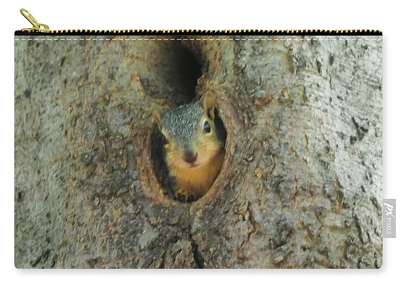 Squirrel Carry-all Pouch featuring the photograph Who's There by C Winslow Shafer