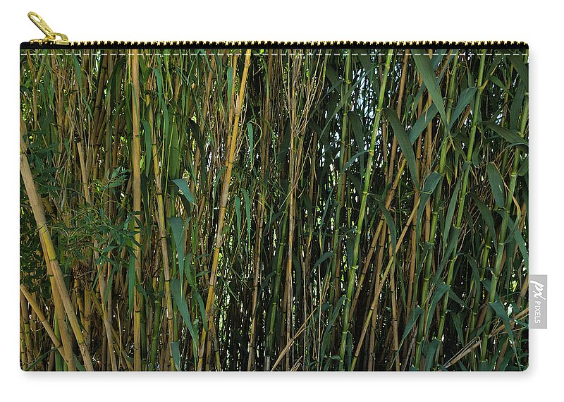 Bamboos Zip Pouch featuring the photograph Wild Bamboo Wall by Angelo DeVal