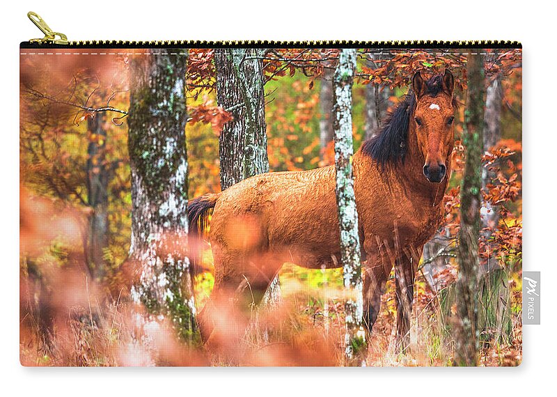 Animals Carry-all Pouch featuring the photograph Wild by Evgeni Dinev
