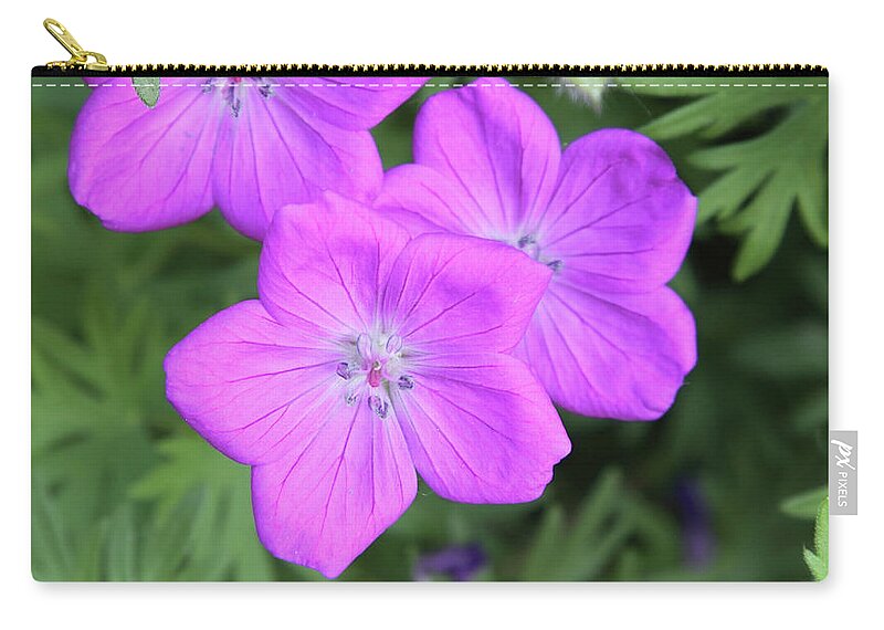 Flowers Carry-all Pouch featuring the photograph Wild Geraniums by Bob Falcone