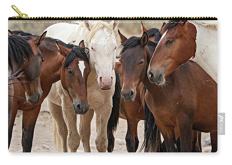 Wild Horses Carry-all Pouch featuring the photograph Wild Horse Huddle by Wesley Aston