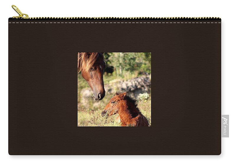 Wild Mustangs Zip Pouch featuring the photograph Wild in NC by Kim Galluzzo