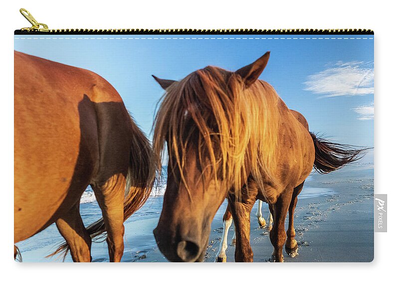 5-places Zip Pouch featuring the photograph Wild Pony Head Shot Assateague Island by Louis Dallara