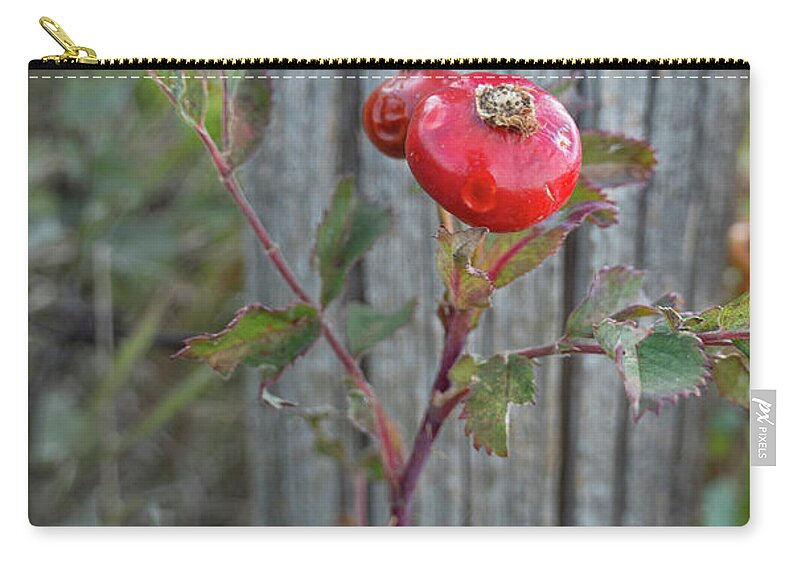 Rose Carry-all Pouch featuring the photograph Wild Rose Hips And Fence Post by Karen Rispin