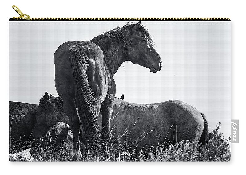 Wild Horses Zip Pouch featuring the photograph Wild Stallion by Andy Crawford