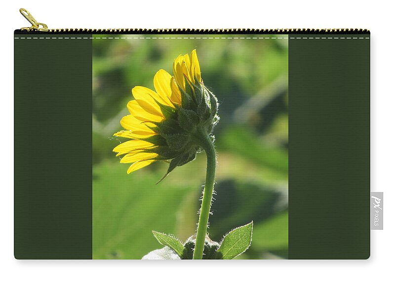 Sunflower Zip Pouch featuring the photograph Wild Sunflower by Katie Keenan