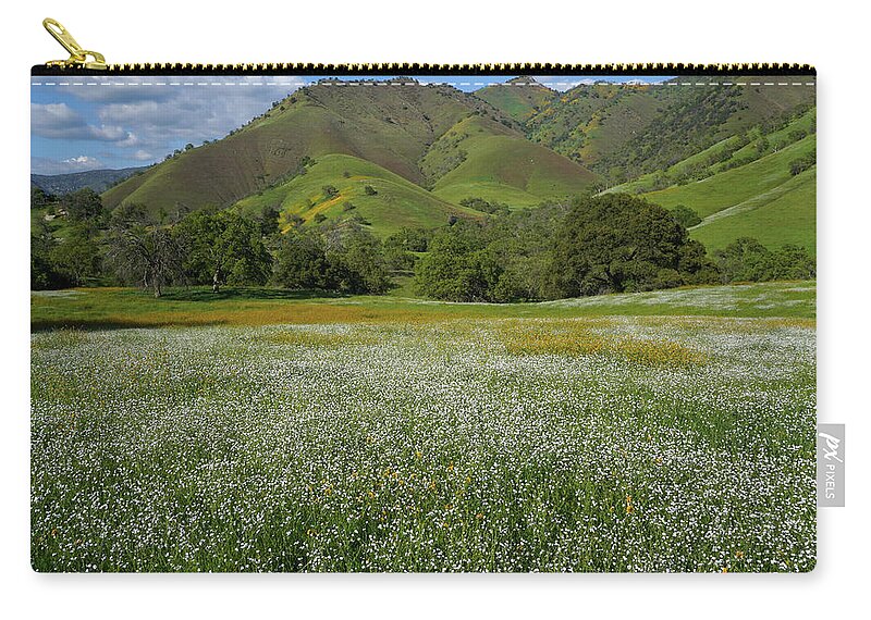 Wildflowers Zip Pouch featuring the photograph Rusty Popcorn And Fiddleneck Dry Creek Canyon by Brett Harvey
