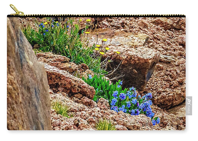 Pikes Peak Zip Pouch featuring the photograph Wildflowers on Pikes Peak by Greg Reed