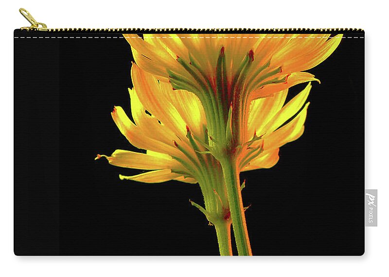 Flowers Zip Pouch featuring the photograph Wildflowers by Stuart Harrison