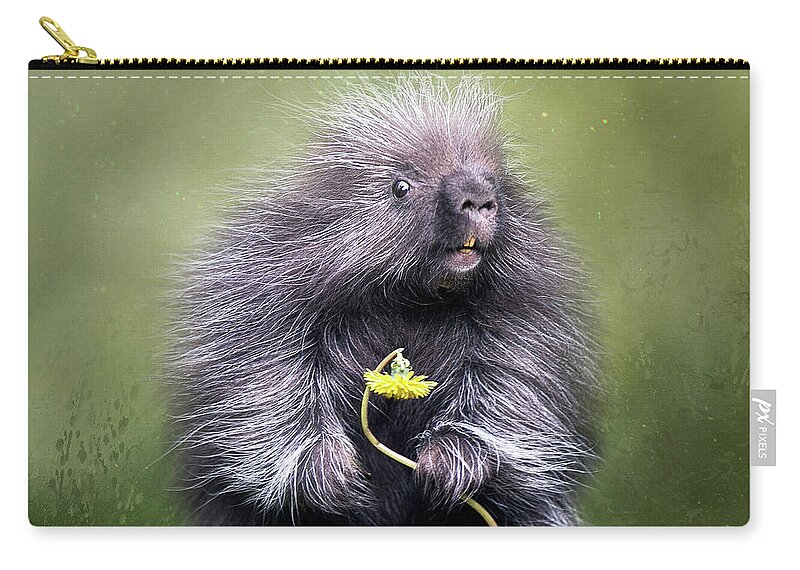 Porcupine Zip Pouch featuring the digital art Will You Be Mine? by Nicole Wilde