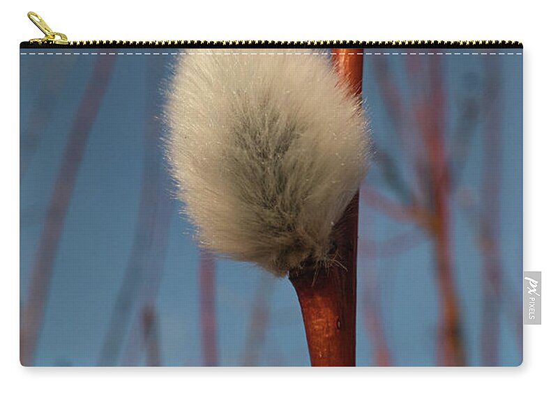 Spring Carry-all Pouch featuring the photograph Willow Catkin by Karen Rispin