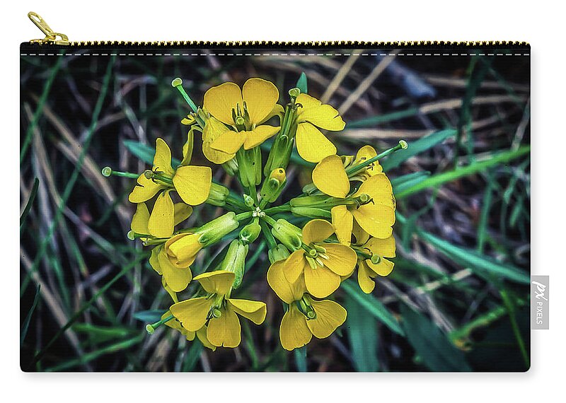 Flower Zip Pouch featuring the photograph Willow Grass of Montana by James C Richardson