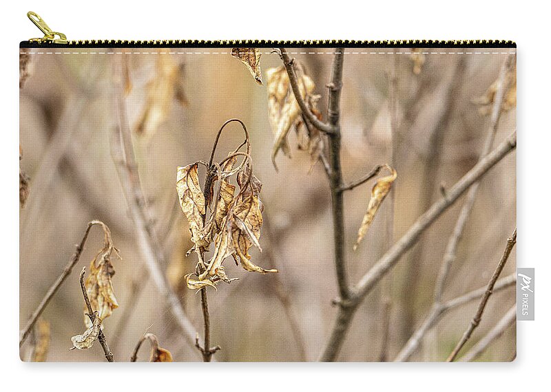 Wilted Leaves Brown Shallow Depth Of Field Zip Pouch featuring the photograph Wilted leaves by David Morehead