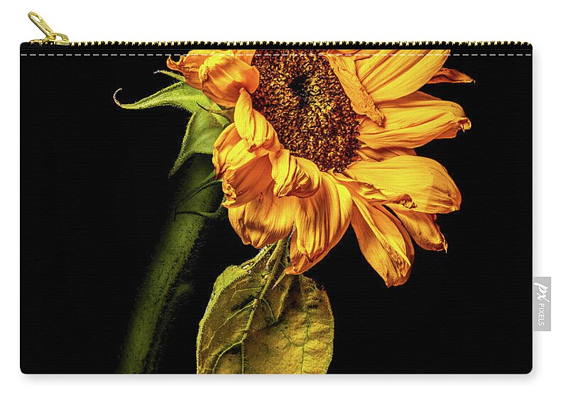4x5 Format Carry-all Pouch featuring the photograph Wilting Sunflower #5 by Kevin Suttlehan