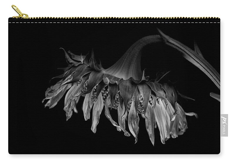 Wilting Flower Zip Pouch featuring the photograph Wilting sunflower, beauty in decay by Alessandra RC