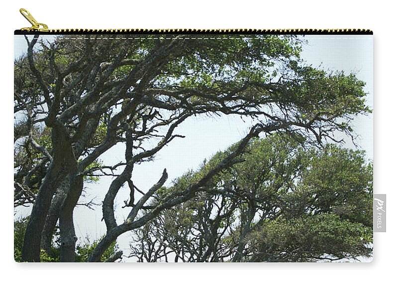  Carry-all Pouch featuring the photograph Wind Blown by Heather E Harman