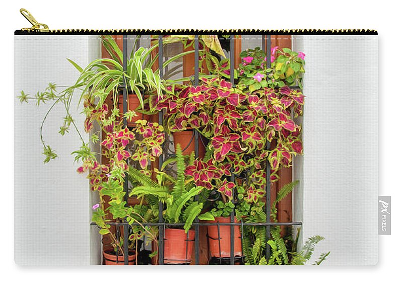Spain Carry-all Pouch featuring the digital art Window plants painted photo by Naomi Maya