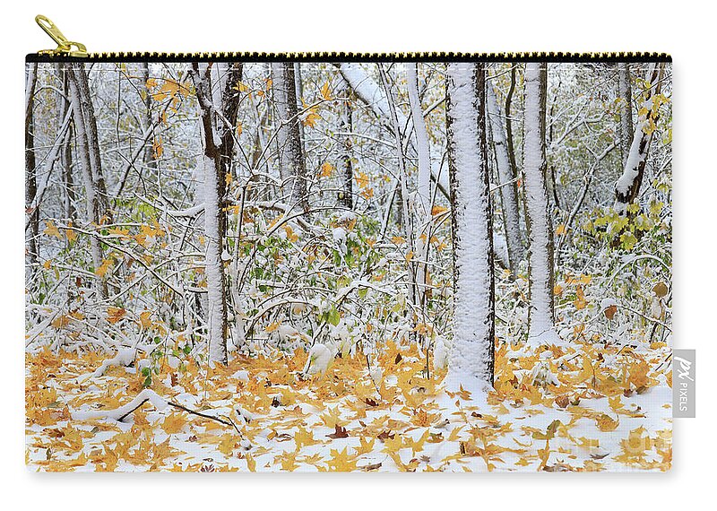 Winter Zip Pouch featuring the photograph Winter and Autumn Meet by Paula Guttilla