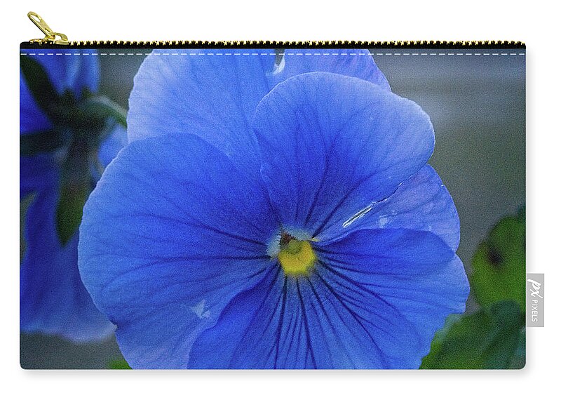 Nature Zip Pouch featuring the photograph Winter Bloom by George Taylor
