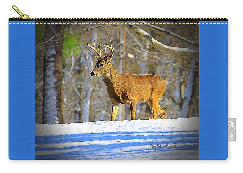 Deer Zip Pouch featuring the photograph Winter Buck by Mary Walchuck