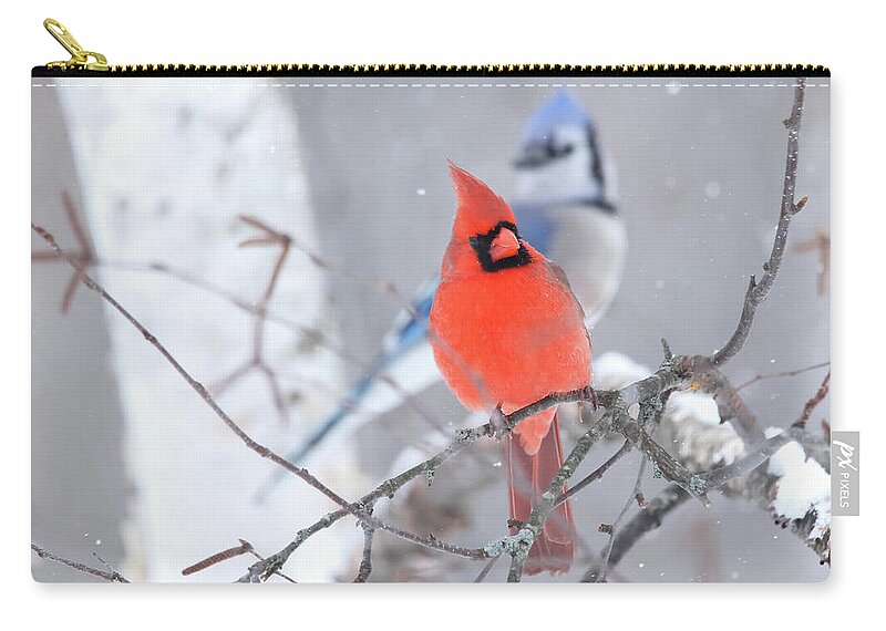 Winter Zip Pouch featuring the photograph Winter Cardinal and Bluejay by Brook Burling