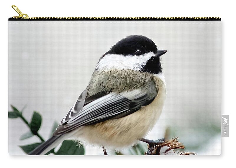 Winter Zip Pouch featuring the photograph Winter Chickadee Square by Christina Rollo