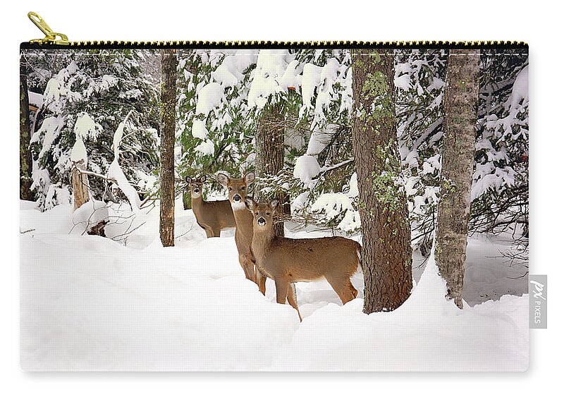 Winter Deer In The Woods Zip Pouch featuring the photograph Winter Deer in the Woods by Gwen Gibson