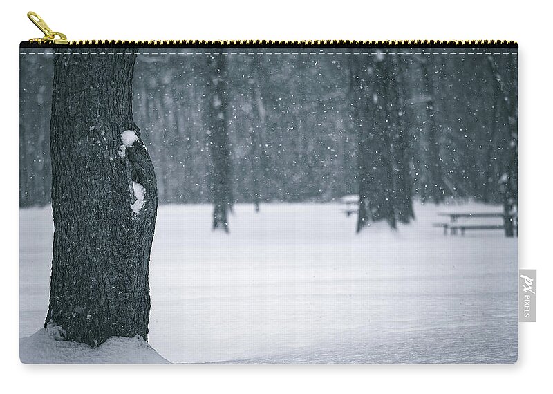 Winter Forest Floor Zip Pouch featuring the photograph Winter Forest Floor by Dan Sproul