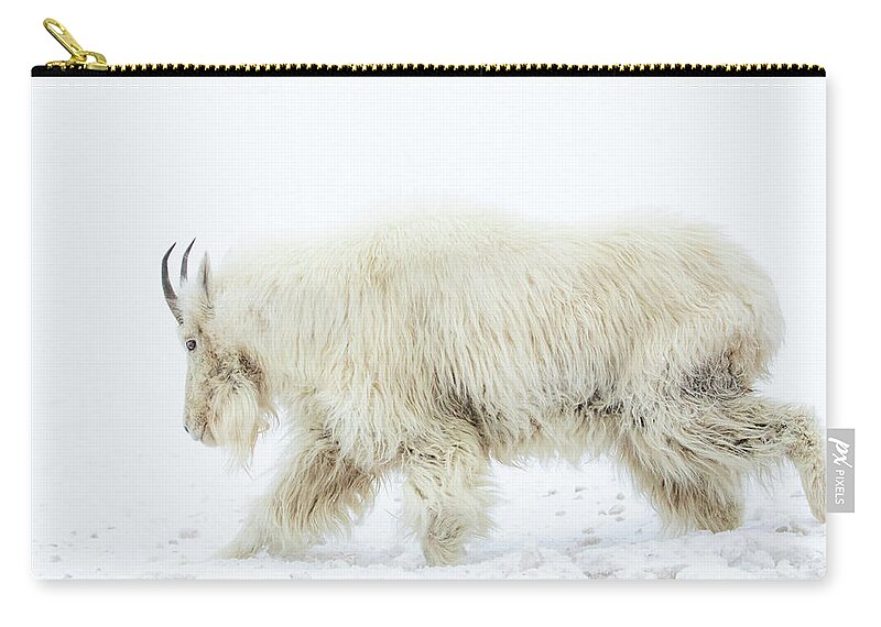 Mountain Goat Carry-all Pouch featuring the photograph Winter Mountain Goat by Wesley Aston