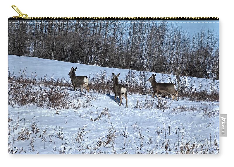 Mule Deer Zip Pouch featuring the photograph Winter Mule Deer by Ann E Robson